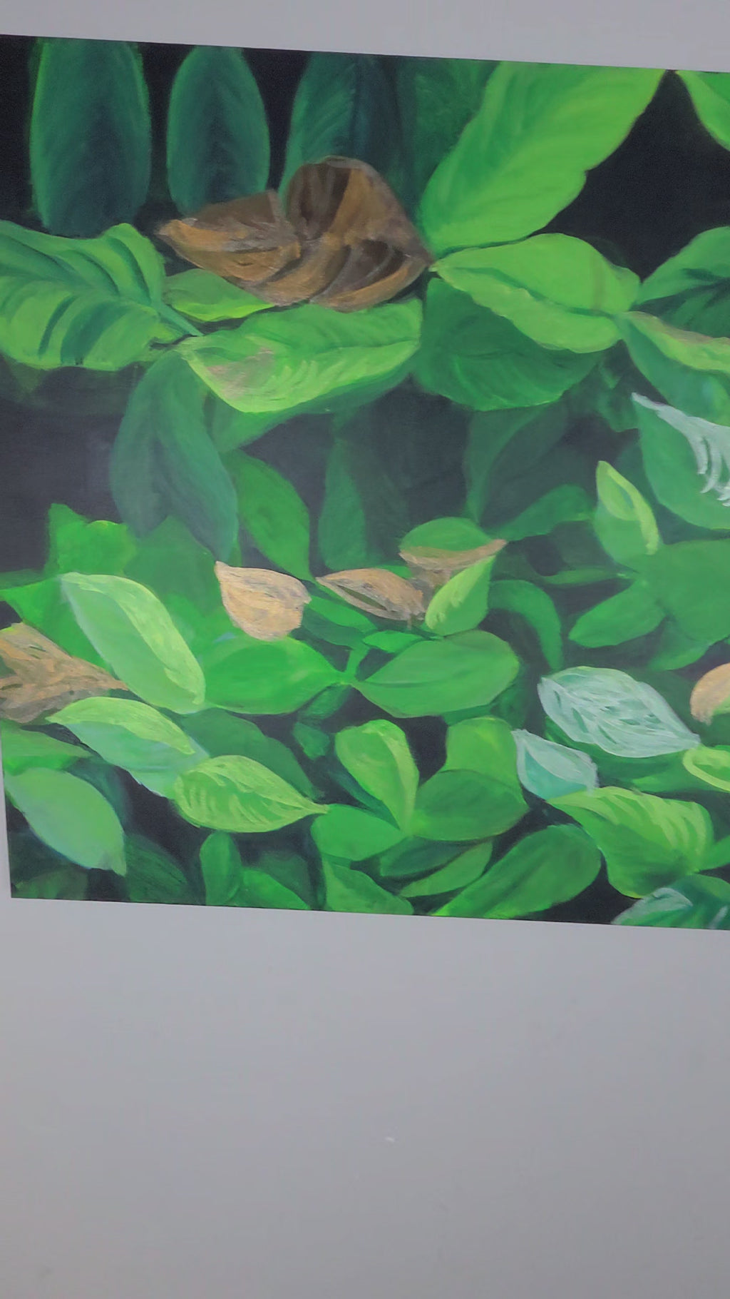 Foliage Study #001