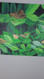 Foliage Study #001